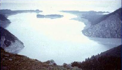 tsunami damage at Lituya Bay